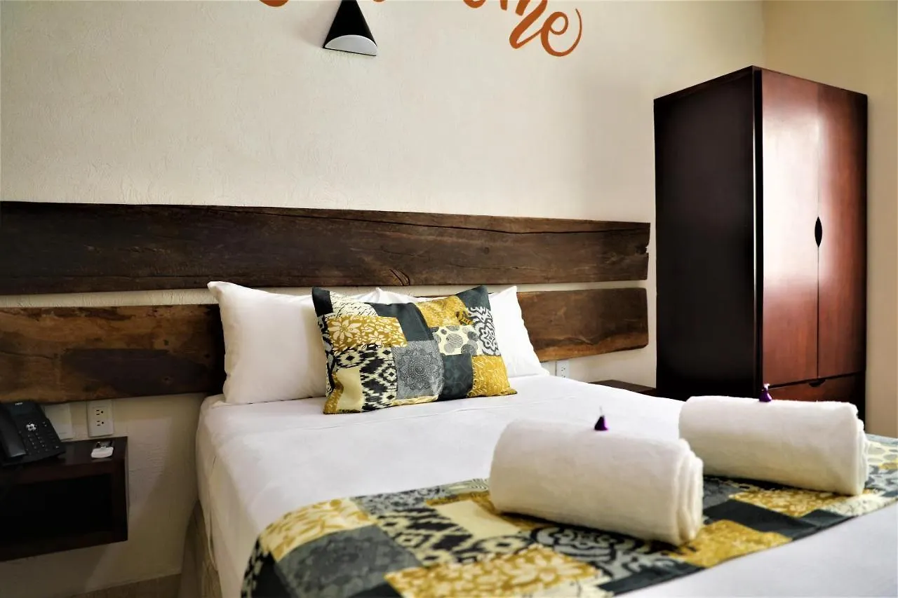 ***  Hotel 12 Bees By Kavia プレヤデルカーメン メキシコ